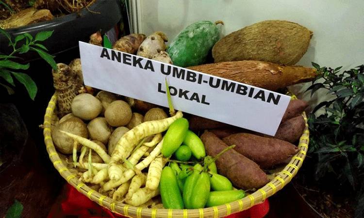 Kementan Ungkap Tiga Strategi Tingkatkan Akses Pasar Pangan Lokal