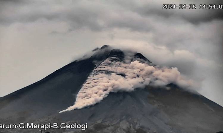 Awan Panas Guguran Merapi Meluncur Sejauh 1,5 Km