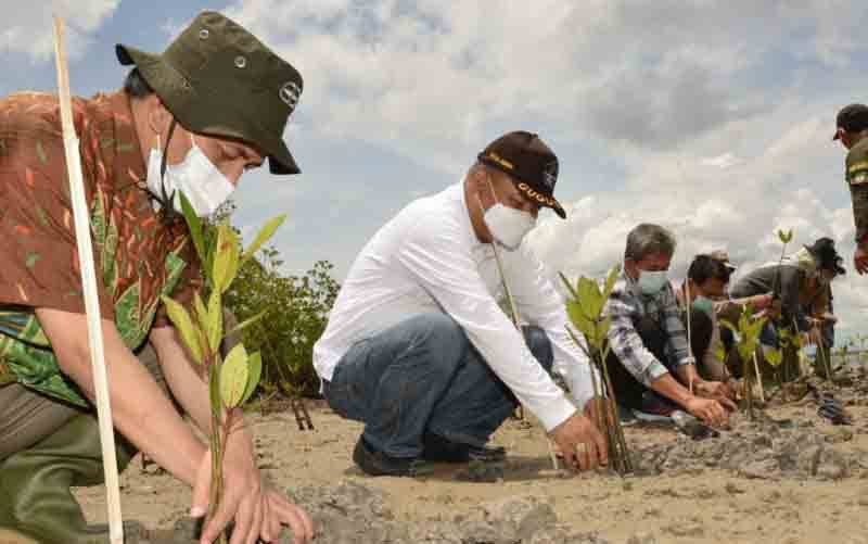 BRGM Gandeng Pemda dan LSM Sinergi Rehabilitasi Mangrove