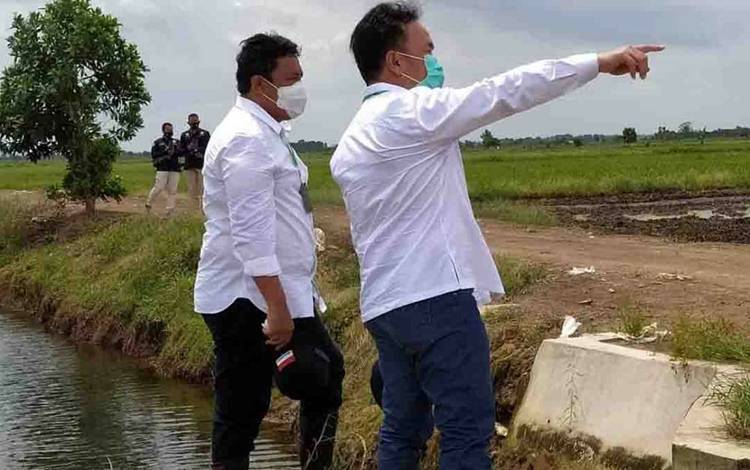 Food Estate Kawasan Terintegrasi Tak Hanya Padi