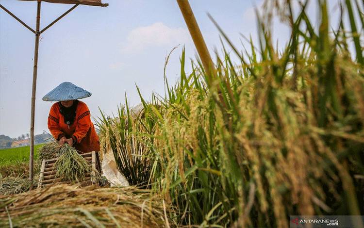 Bupati Murung Raya Titip Pesan untuk Petani Tanah Siang Selatan