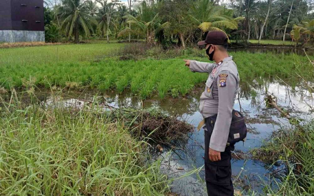 Polsek Kapuas Kuala Monitoring Lahan Pertanian Warga, Ini Tujuannya
