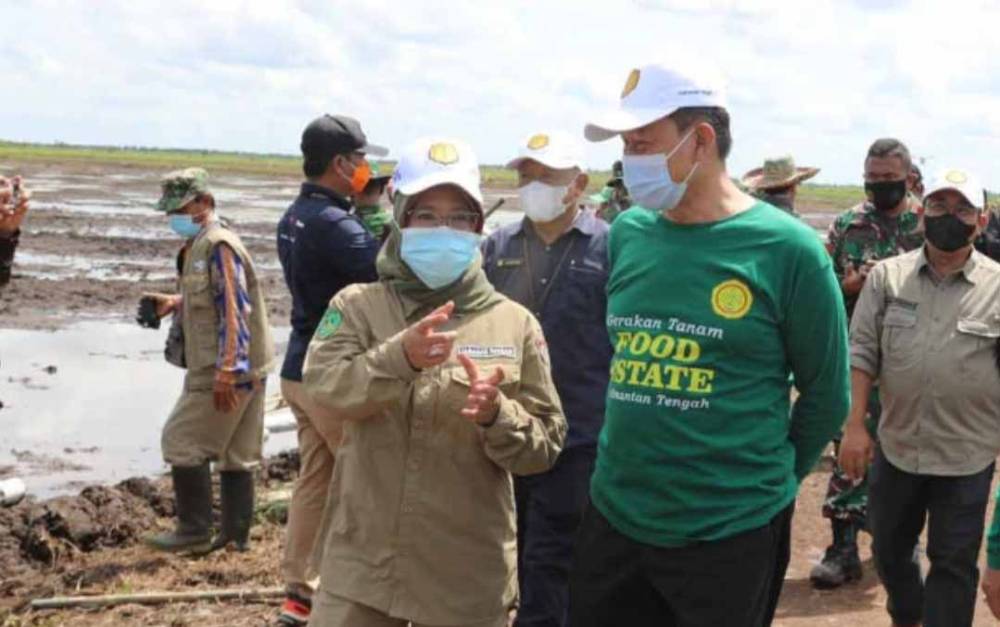 Sekjen Kementan Sebut Food Estate Tahap Pertama Sukses
