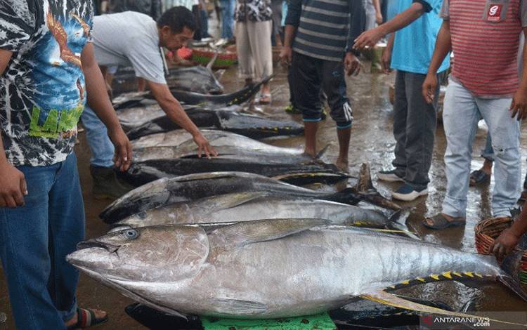 KKP Tetapkan 5 Koridor Logistik Untuk Akses Perikanan Indonesia Timur