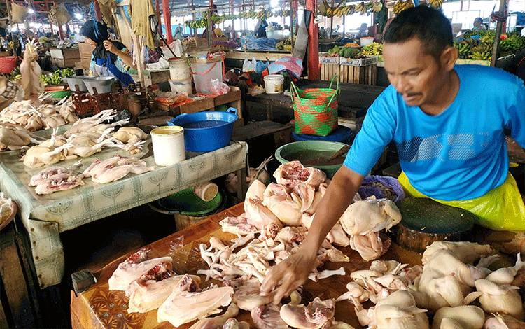 Harga Daging Ayam Broiler di Kobar Rp38.000