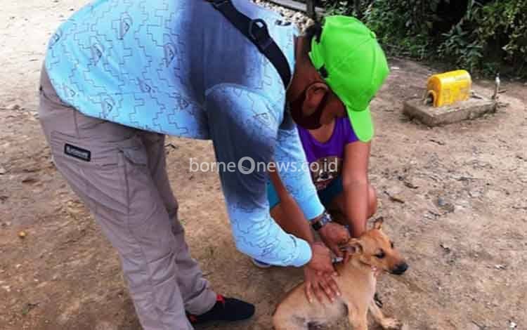 Distanakan Murung Raya Minta Hewan Peliharaan Divaksin Cegah Rabies