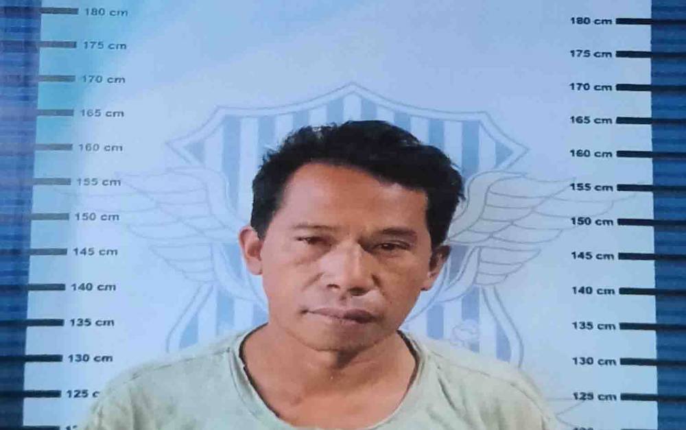 Cerita Sopir Truk Tronton Naas: Hanya Pasang Pelepah Sawit sebagai Tanda Truknya Berhenti di Pinggir Jalan