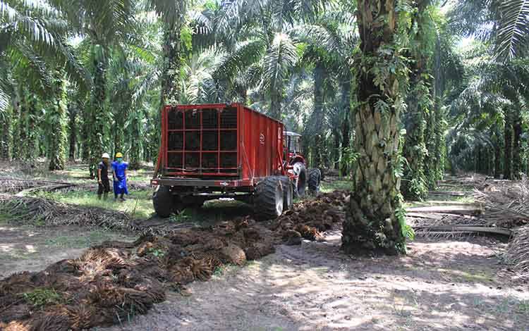 PT Citra Borneo Utama dan Grand Resources Group Teken Kontrak Jual Beli Produk Turunan Kelapa Sawit Senilai 10 Juta US Dolar
