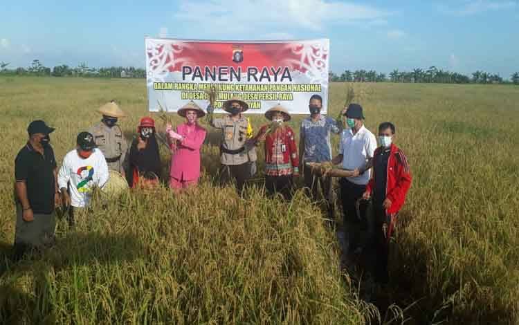 Kapolres Seruyan Panen Raya Padi di Desa Persil Raya