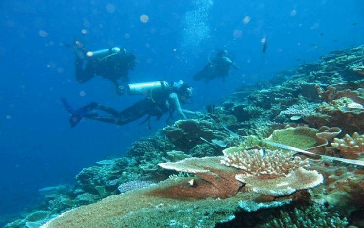 Pentingnya Membumikan Konsep Ekonomi Biru Secara Efektif di Indonesia