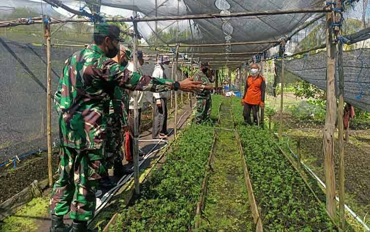 Perwira Seksi Teritorial Kodim Palangka Raya Kunjungi Kelompok Tani di Kalampangan