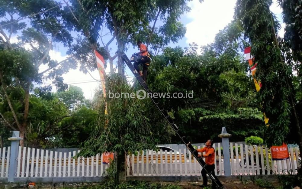 BPBD Kobar Pangkas Ranting Pohon Rawan Tumbang