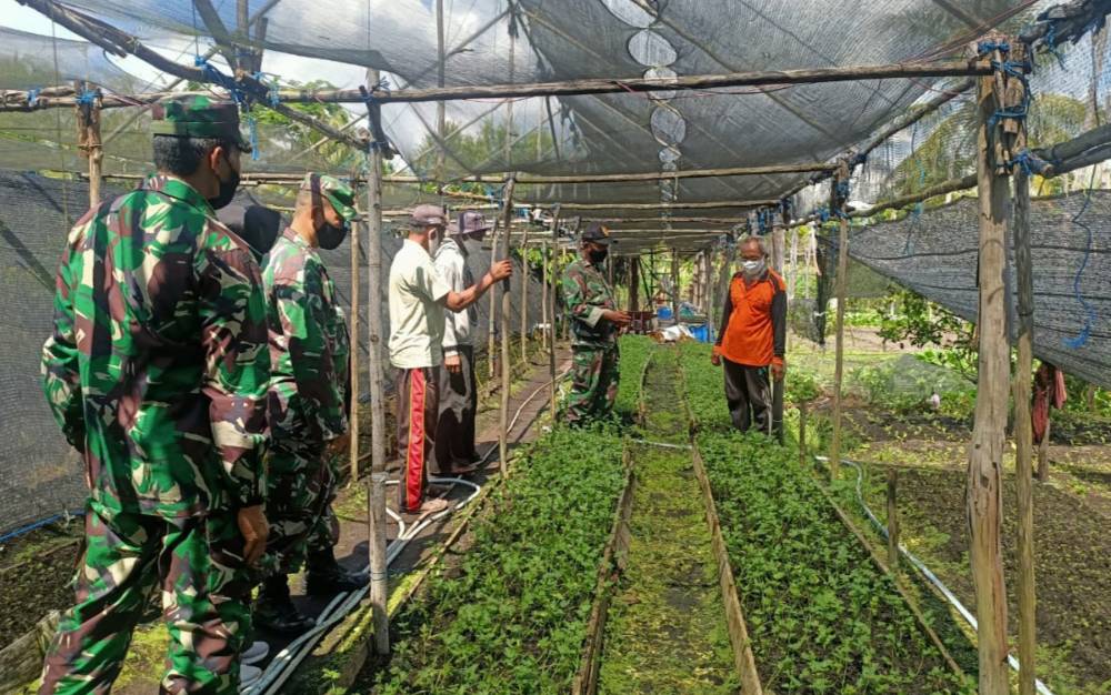 Babinsa Bersama Poktan Siap Sukseskan Ketahanan Pangan
