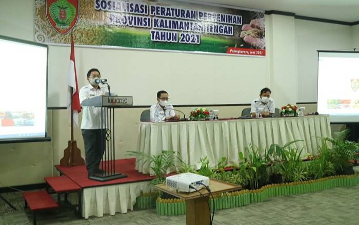 Sekretaris Dinas TPHP Provinsi Kalteng?Muhajirin Akbar saat membuka sosialisasi peraturan perbenihan tahun 2021, Kamis, 3 Juni 2021.