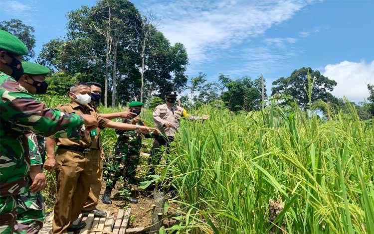 Babinsa Teweh Tengah Bersama PPL Cek Tanaman Padi Petani