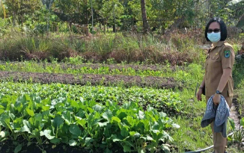 Pastikan Keamanan Pangan, Dinas Ketahanan Pangan Kapuas Rutin Ambil Sampel PSAT