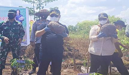 Pemkab Kotim Dapat Dukungan dari Kementan RI untuk Kembangkan Porang
