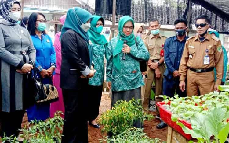 Ketua TP PKK Balangan Tinjau Langsung Demplot Pemanfaatan Lahan Pekarangan