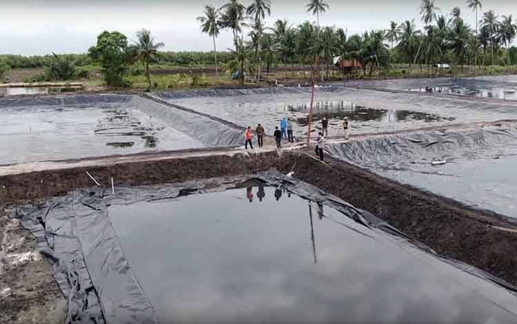 Analisis Teknis Tunjukkan Kawasan Shrimp Estate Suport Budidaya Vaname