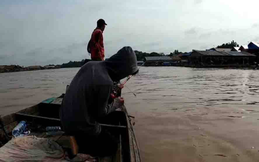 Peningkatan Program Penebaran Benih Ikan Perlu Dilakukan, Ini Alasannya