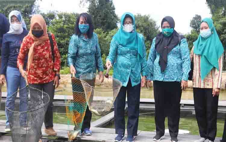 Ketua TP PKK Barito Utara Panen Ikan di Tambak Bunda Sri