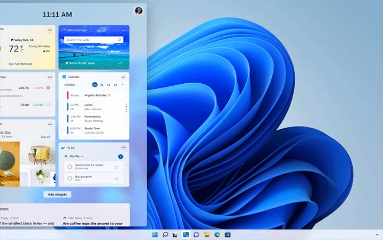 Windows 11. (Microsoft)