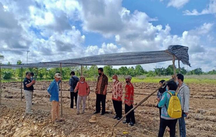 DKPPP Barito Selatan Cek Lokasi Rencana Pengembangan Food Estate di Desa Rantau Bahuang