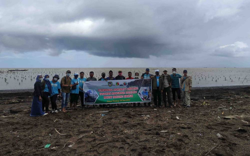 Tingkat Keberhasilan Hidup Tanaman  Mangrove di Pantai Siamuk Capai 90 Persen