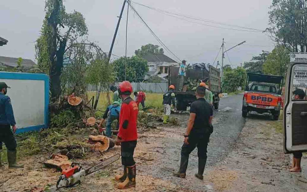 Pohon Tumbang Hantam Kabel Listrik, BPBD Lakukan Pembersihan
