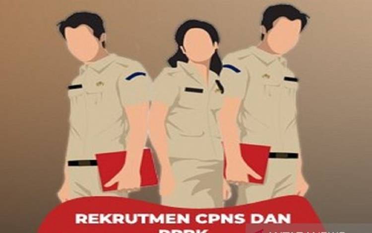 Penerimaan CPNS