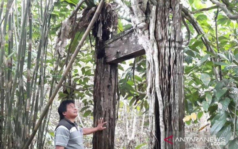 Pemkab Gumas Daftarkan Rumah Adat Dayak sebagai Objek Cagar Budaya
