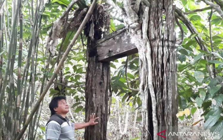 Disbudpar Pulang Pisau Catat Seni Budaya