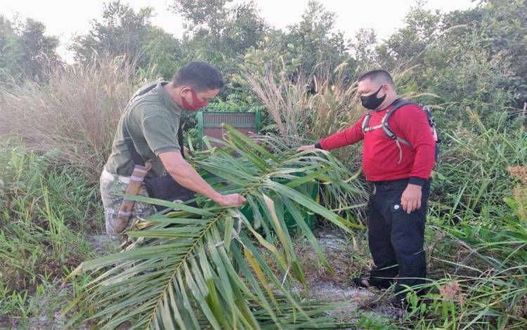 Teror Warga Lagi, Beruang Keliaran Sekitar Bengkel