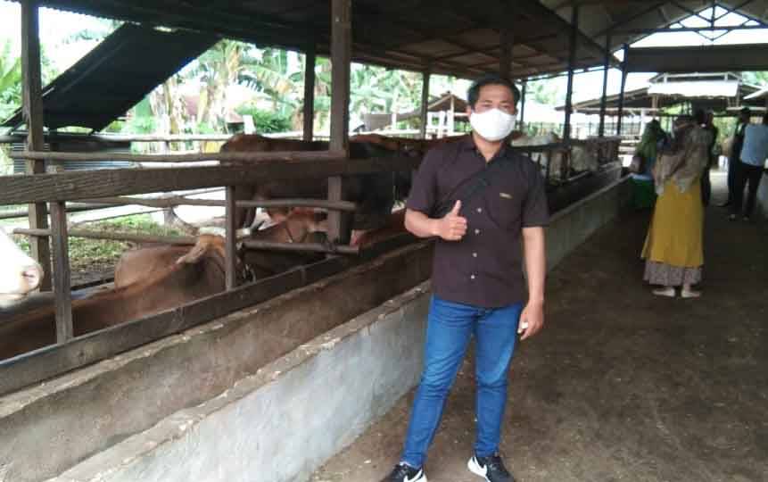 Stok Hewan Kurban di Palangka Raya Dijamin Aman