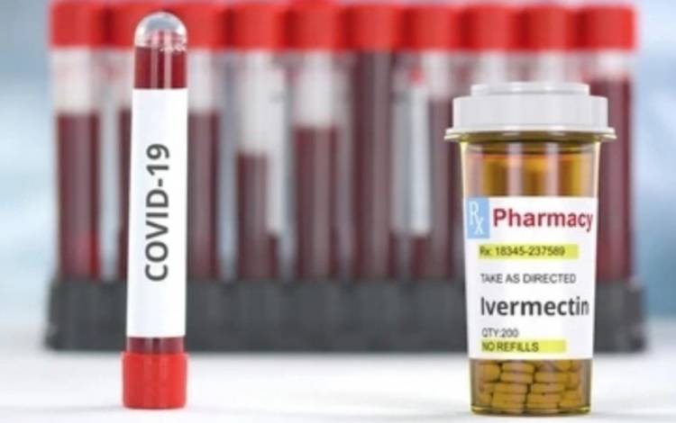 Ivermectin Tak Direkomendasikan untuk Obati COVID-19 pada Ibu Hamil