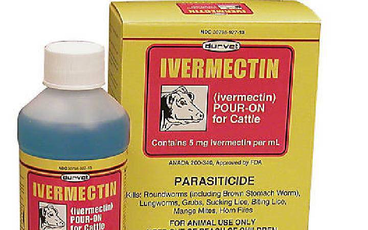 Epidemiolog: Ivermectin Obat Keras, tapi Dibagi-bagi Kayak Permen oleh Pejabat