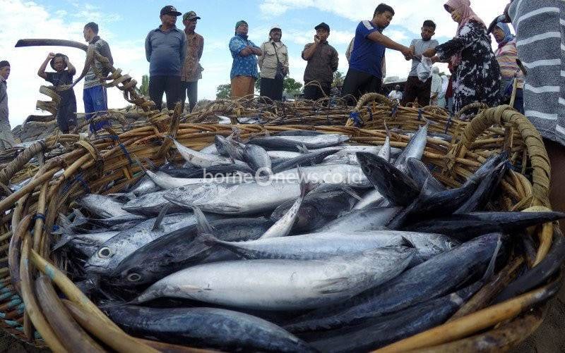 Stok Ikan dan Daging Dipastikan Aman saat PPKM Darurat