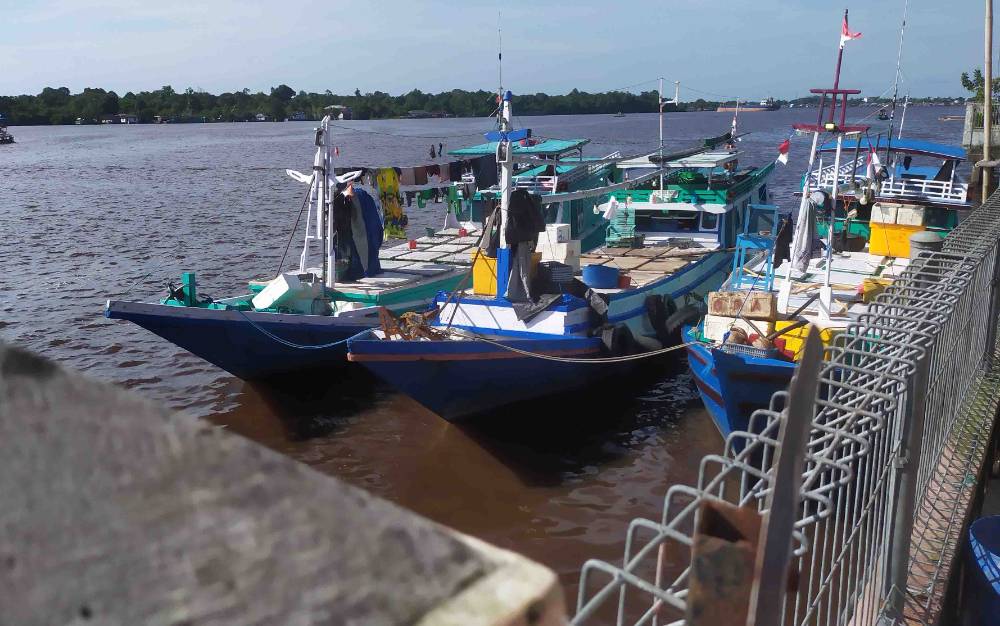 Nelayan di Kotim Masih Aman Melaut, Tapi Harga Ikan Tetap Tinggi