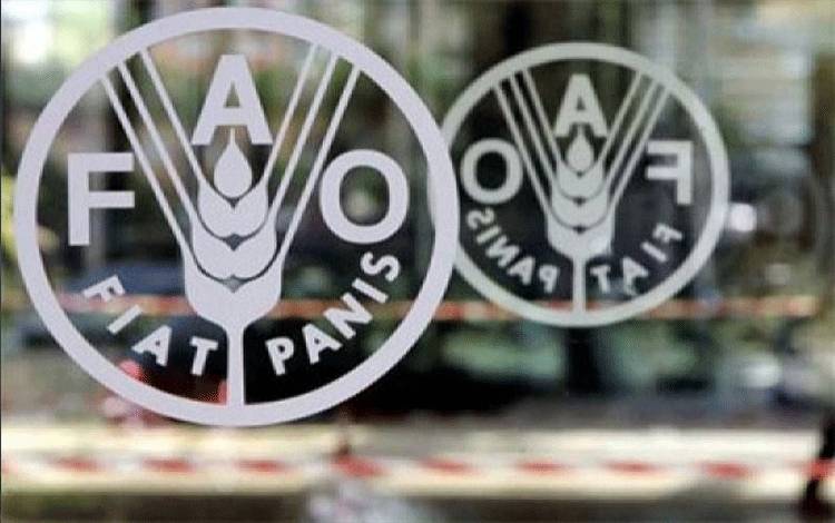 Harga Pangan Dunia Turun Setelah 12 Bulan Berturut-turut Naik