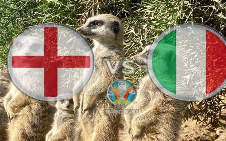 Meerkat Mistik Prediksi Inggris akan Memenangi Final Euro 2020