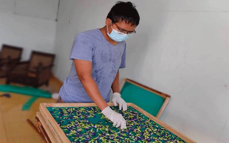 Walaupun Banyak Usaha Terpukul akibat Pandemi, Bunga Telang Dapat Menjadi Solusi