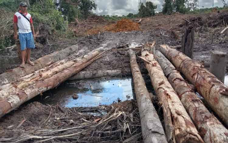 Lahan Karet dan Rotan Warga Diduga Dibabat Perkebunan Kelapa Sawit