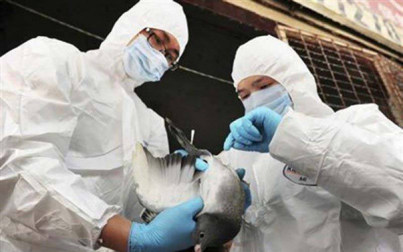 China Laporkan Kasus Flu Burung H5N6 pada Manusia