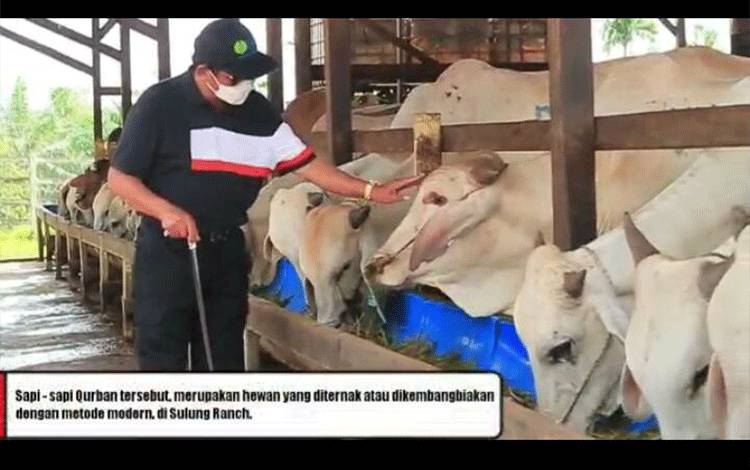 VIDEO: Penyaluran Hewan Kurban Keluarga Besar H Abdul Rasyid AS