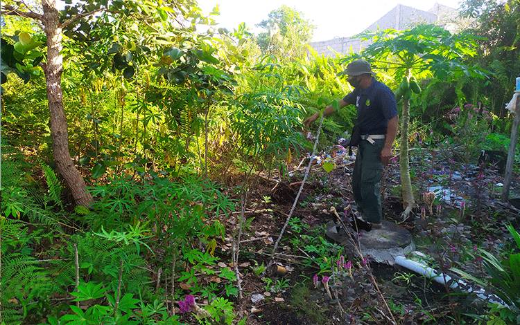 Petugas BKSDA menunjukkan lokasi kemunculan beruang di Perumahan Wengga Metropolitan.?