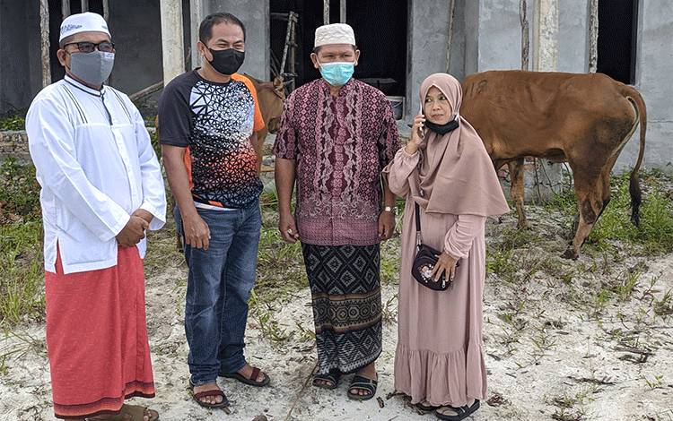 69 Sapi Kurban dari Gubernur Kalteng Sudah Didistribusikan di Kotim