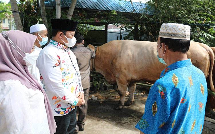 Pemprov Kalteng Bagikan 355 Ekor Sapi Kurban