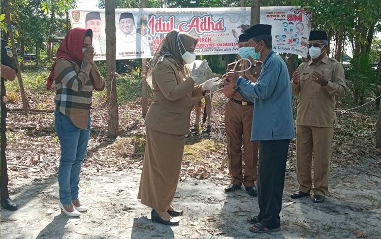 Pemkab Kobar Himpun Donatur untuk Bantuan 79 Ekor Hewan Kurban?
