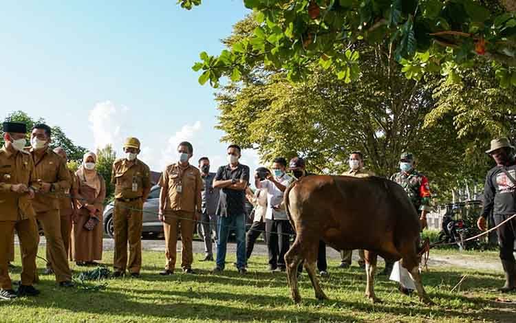 Wali Kota Palangka Raya Serahkan Hewan Kurban