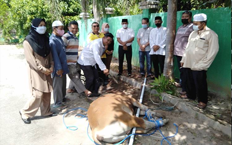 Sejumlah anggota DPRD Katingan foto bersama sebelum penyembelihan hewan kurban.